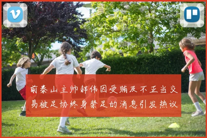 前泰山主帅郝伟因受贿及不正当交易被足协终身禁足的消息引发热议