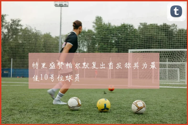 特里盛赞帕尔默复出首发称其为最佳10号位球员