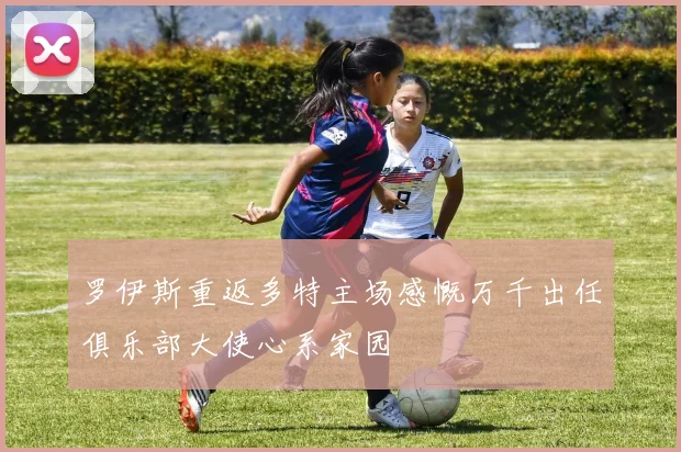 罗伊斯重返多特主场感慨万千出任俱乐部大使心系家园