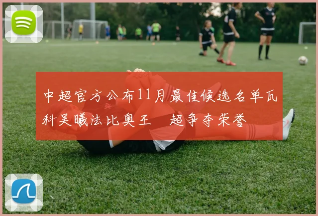 中超官方公布11月最佳候选名单瓦科吴曦法比奥王燊超争夺荣誉