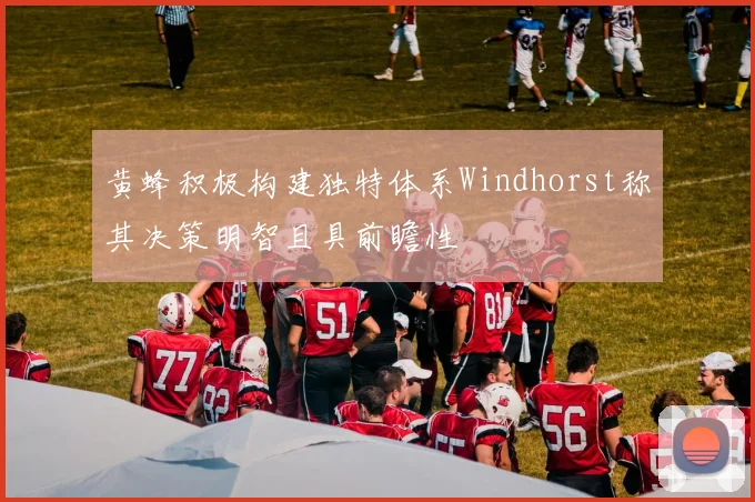 黄蜂积极构建独特体系Windhorst称其决策明智且具前瞻性