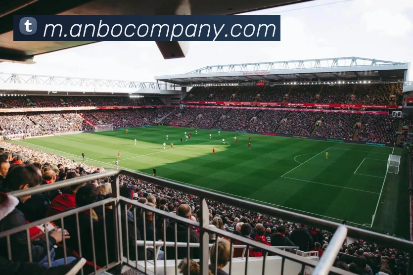 安博体育平台生态图