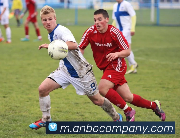 安博体育APP 封面图